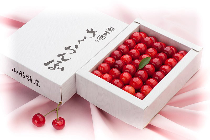 山形の高級さくらんぼ【佐藤錦】化粧詰め500g