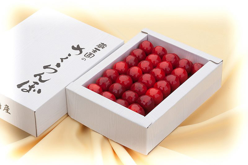 山形の甘くて大粒なさくらんぼ【紅秀峰（べにしゅうほう）】化粧詰め500g