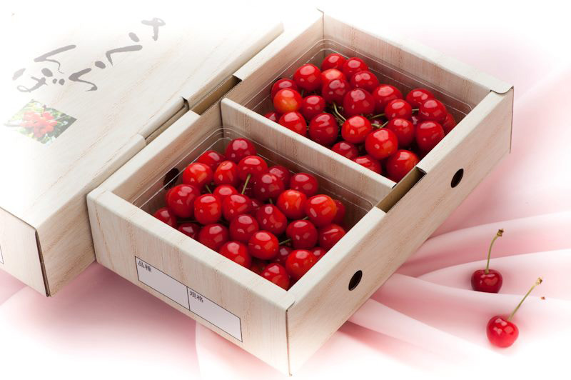 山形の高級さくらんぼ 【佐藤錦】ばら詰め約1kg