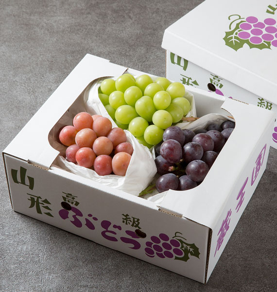 ぶどう２〜３種詰め合わせセット（旬のぶどう）